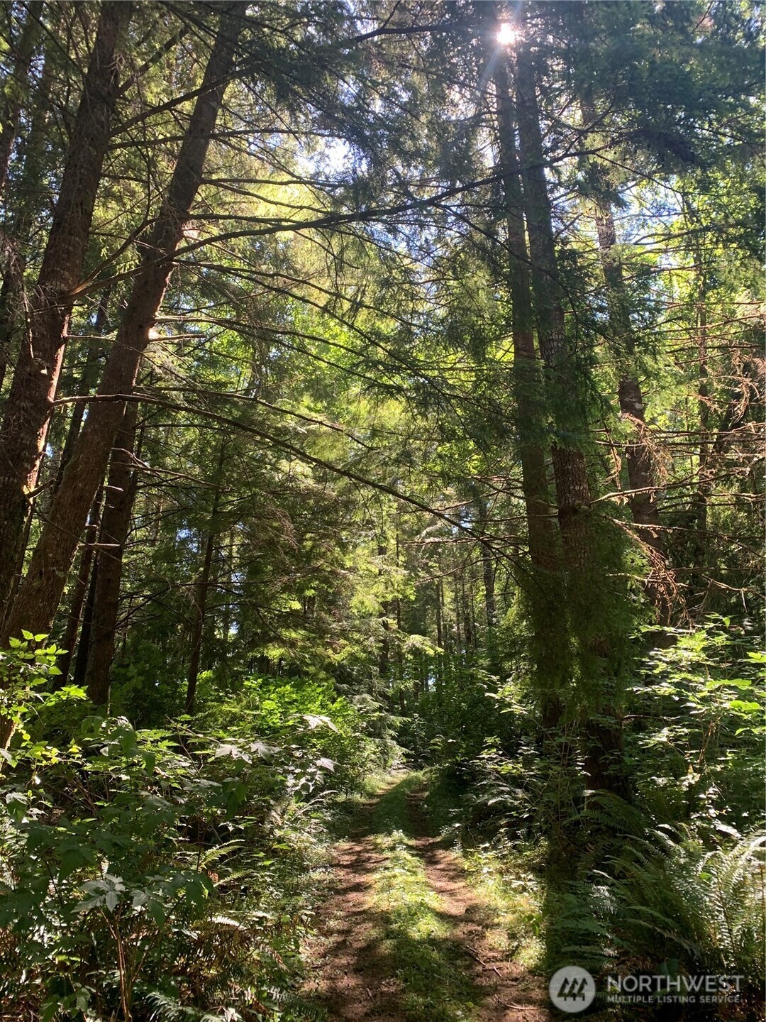 3-tract Parpala Road Naselle, WA 98638 - Photo 16 of 25