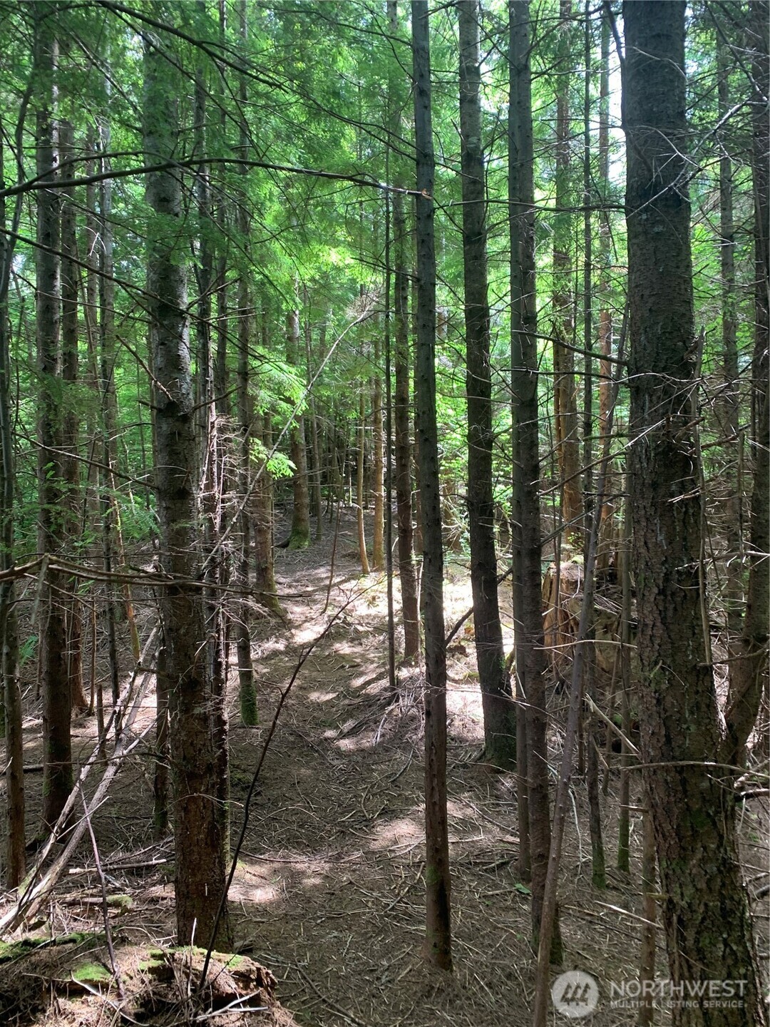 3-tract Parpala Road Naselle, WA 98638 - Photo 3 of 25 a view of outdoor space