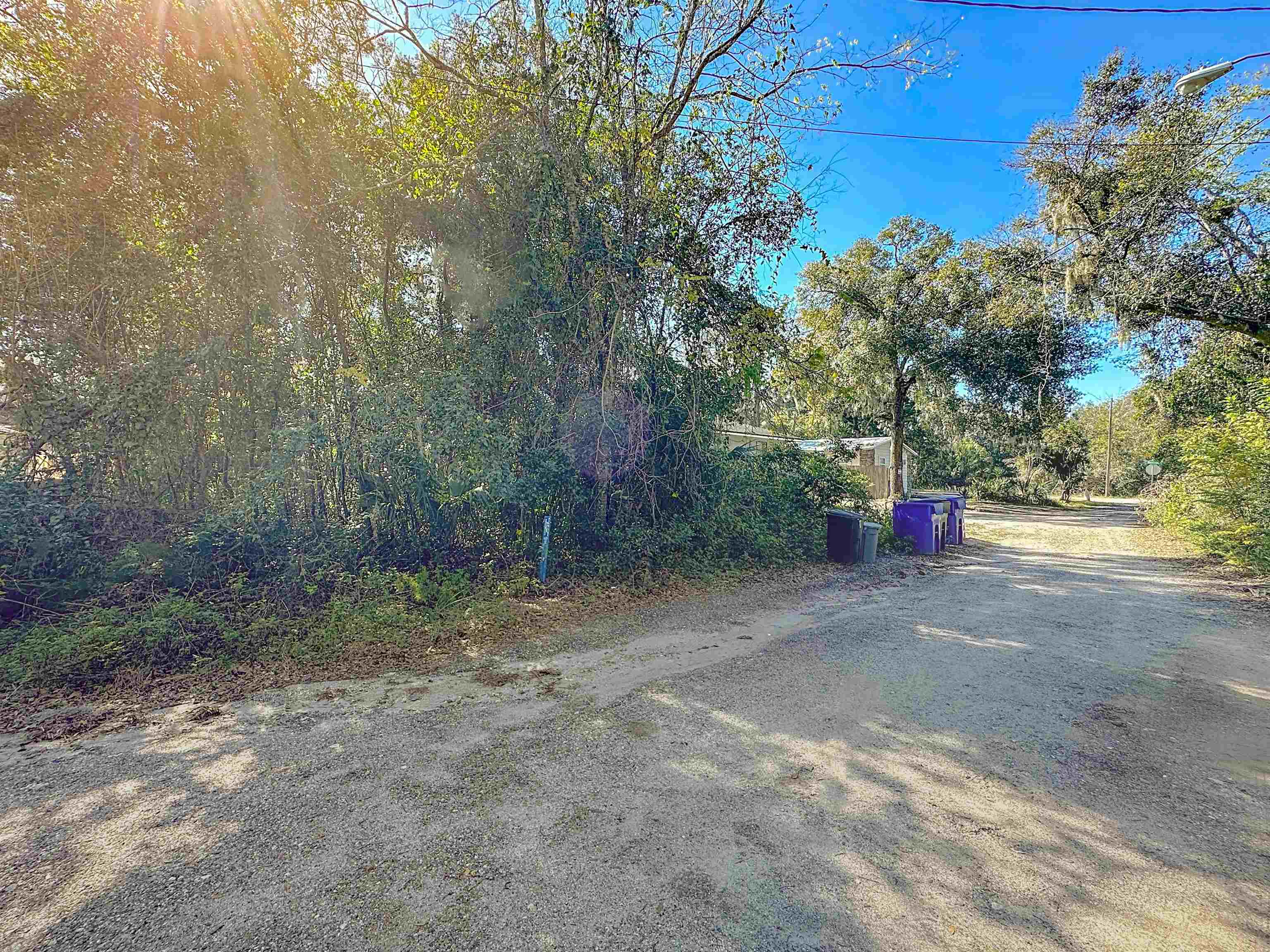 587 Julia Street St. Augustine, FL 32084 - Photo 11 of 12
