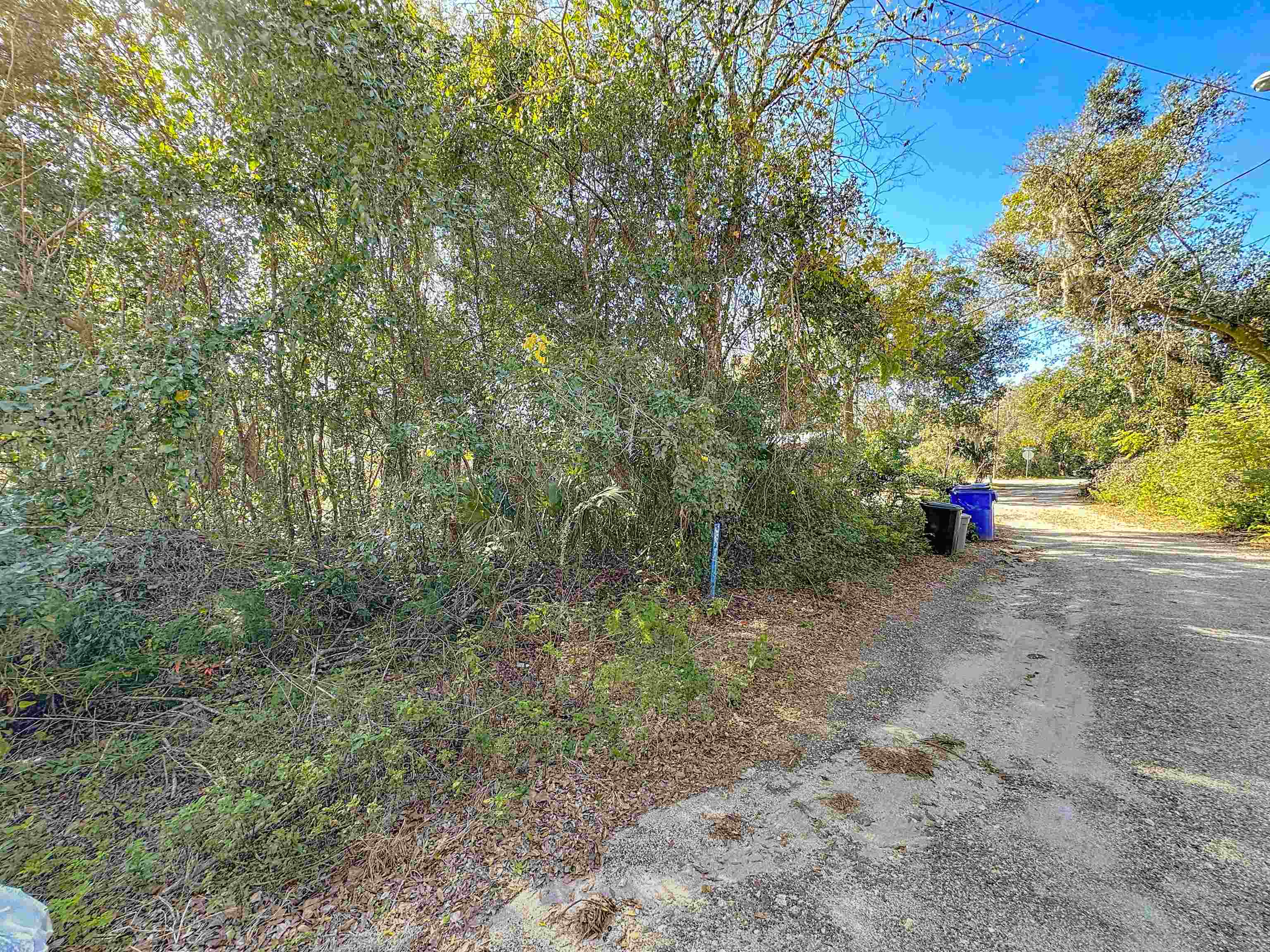 587 Julia Street St. Augustine, FL 32084 - Photo 12 of 12