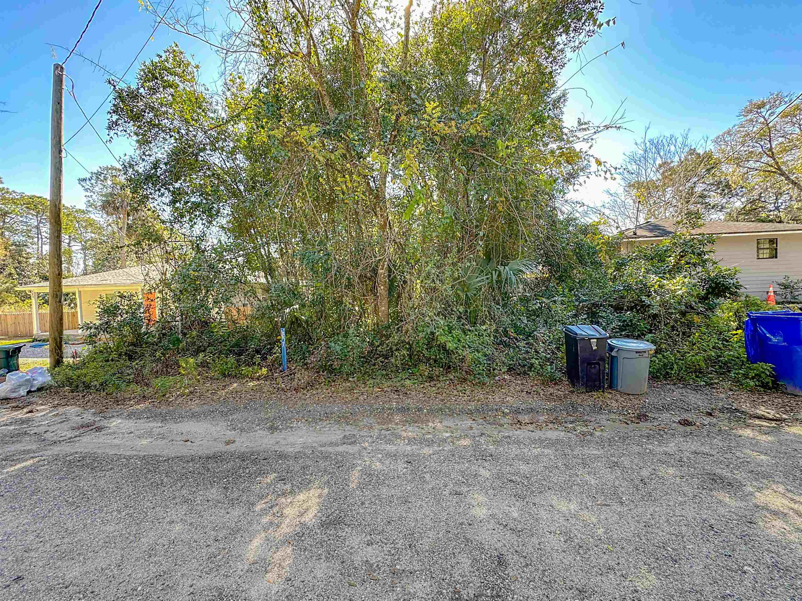 587 Julia Street St. Augustine, FL 32084 - Photo 9 of 12