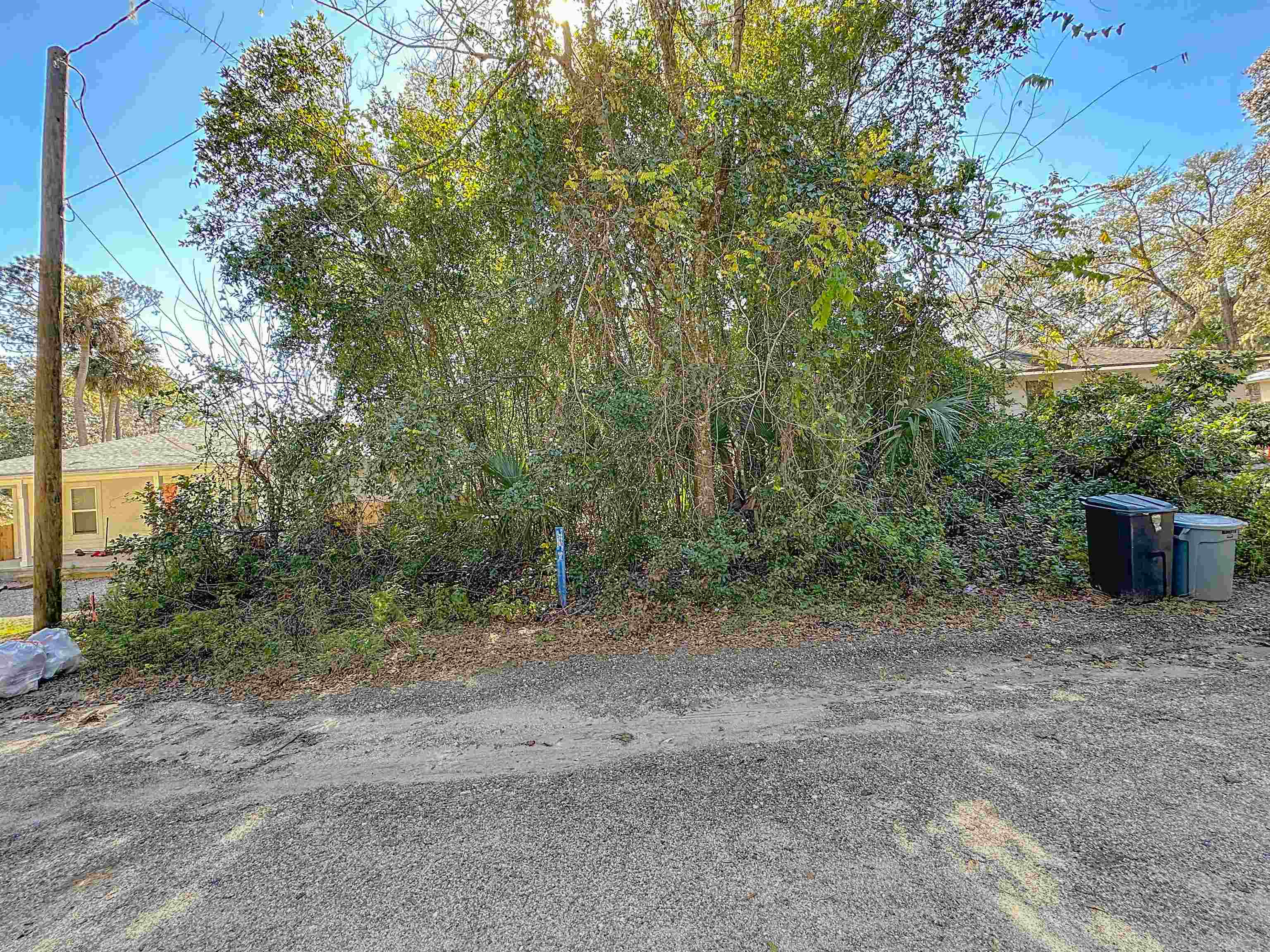 587 Julia Street St. Augustine, FL 32084 - Photo 10 of 12