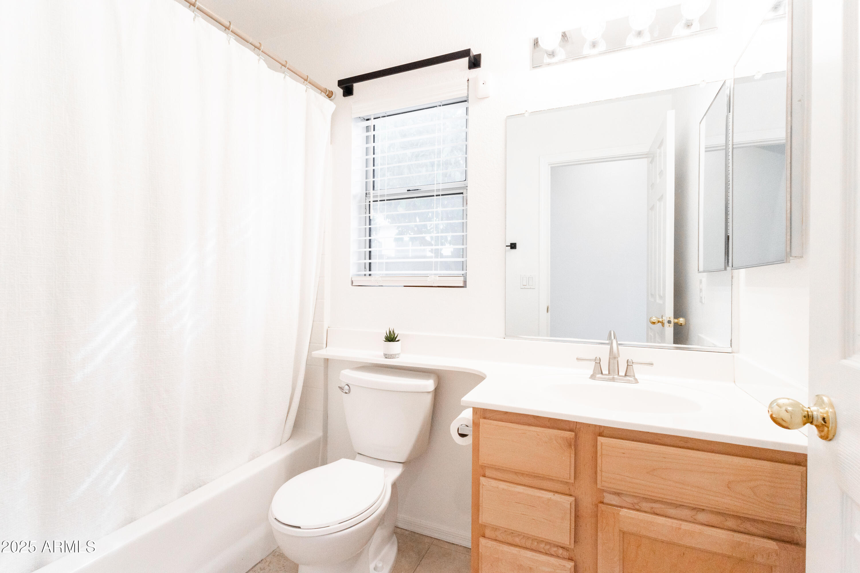 696 West Del Rio Street Gilbert, AZ 85233 - Photo 15 of 39 a bathroom with a sink a toilet and a mirror