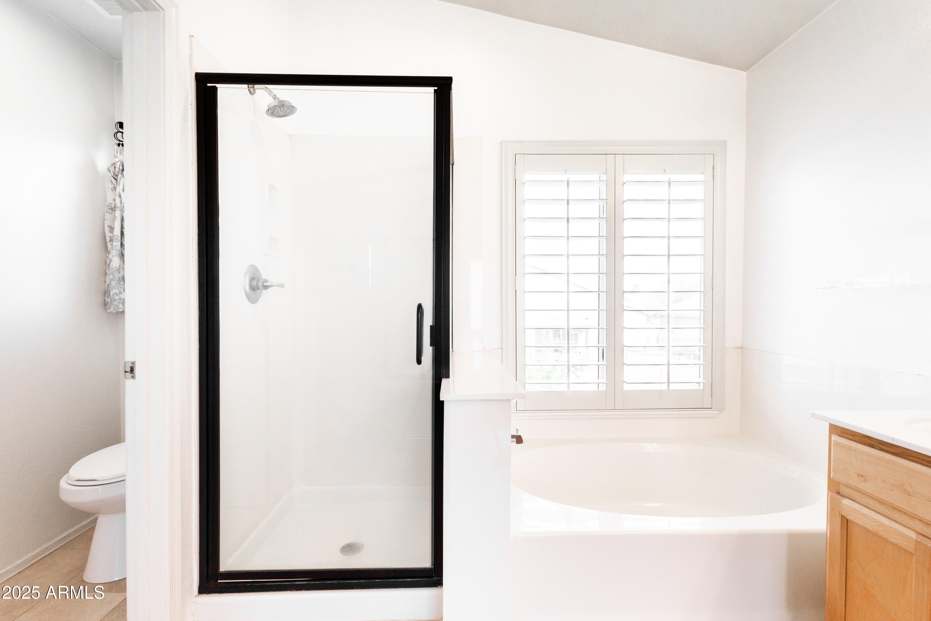 696 West Del Rio Street Gilbert, AZ 85233 - Photo 28 of 39 a bathroom with a bathtub and a shower