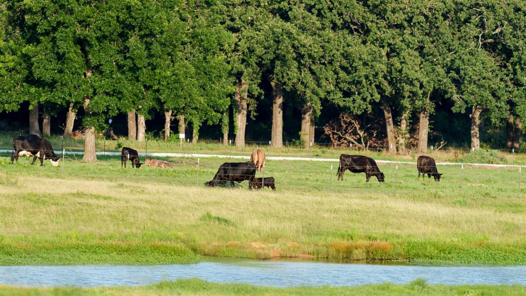 360 Pop Noah Road Collinsville, TX 76233 - Photo 30 of 36