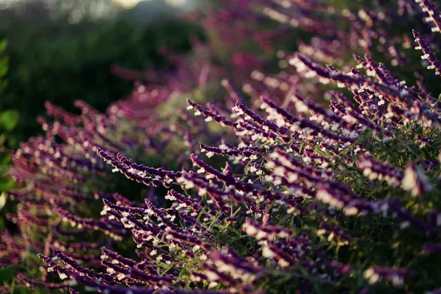 $23,000,000 | 3201 Campanil Drive, Santa Barbara, CA 93109