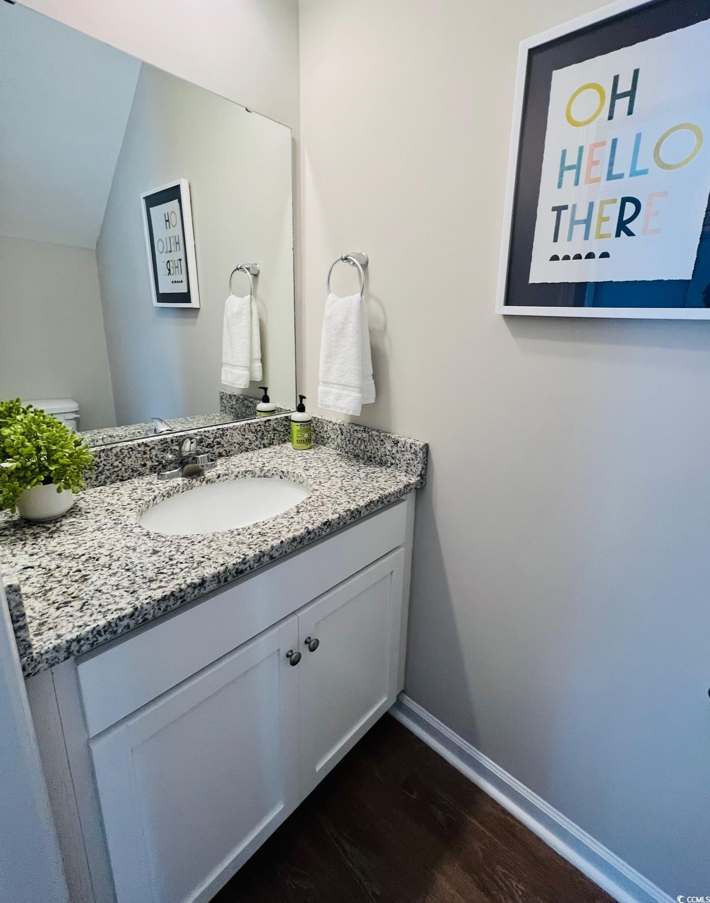 3553 Ladybank Loop Myrtle Beach, SC 29577 - Photo 16 of 30 Half bathroom with vanity, dark wood-style floorin