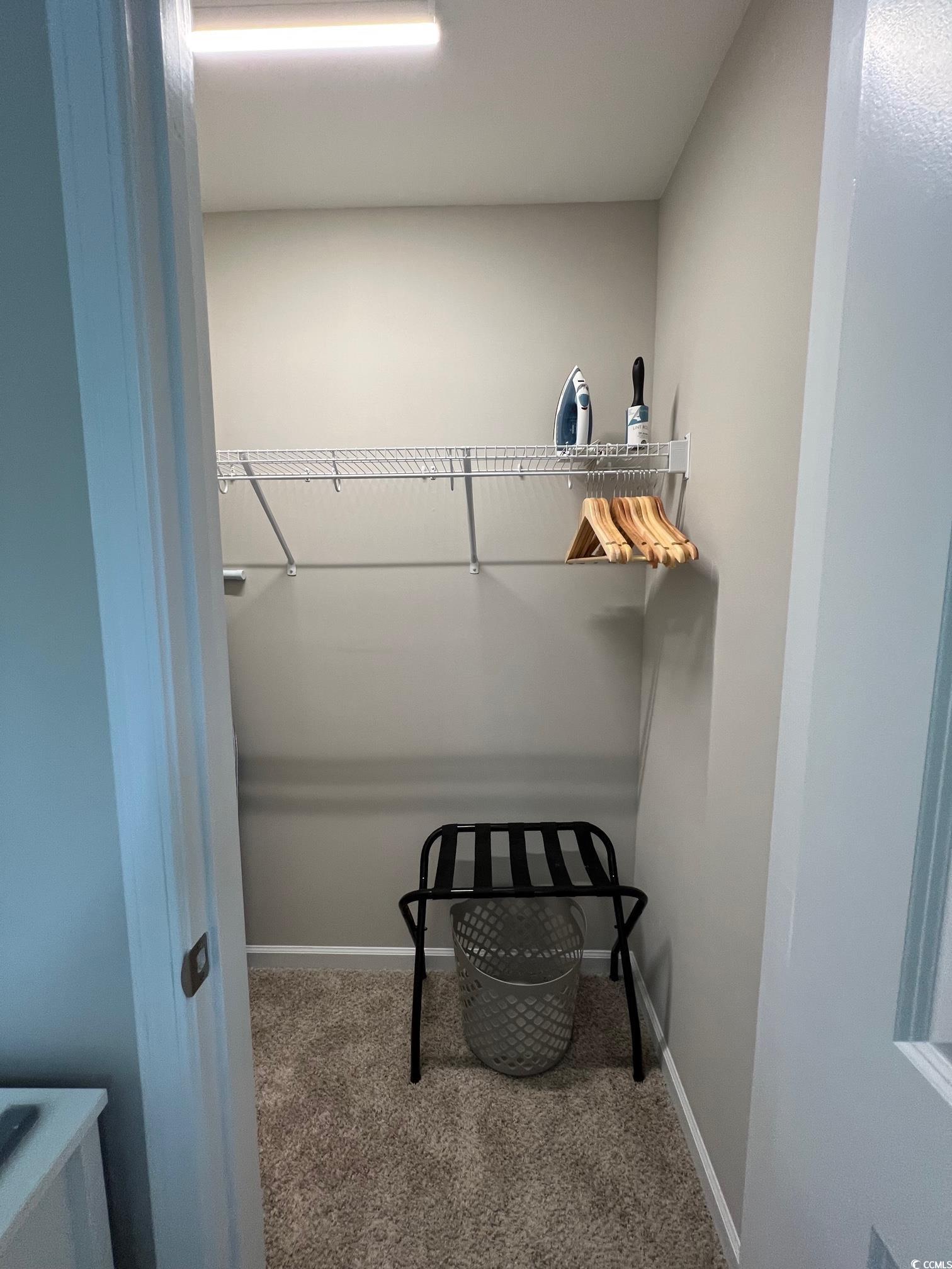 3553 Ladybank Loop Myrtle Beach, SC 29577 - Photo 23 of 30 Spacious closet with light carpet