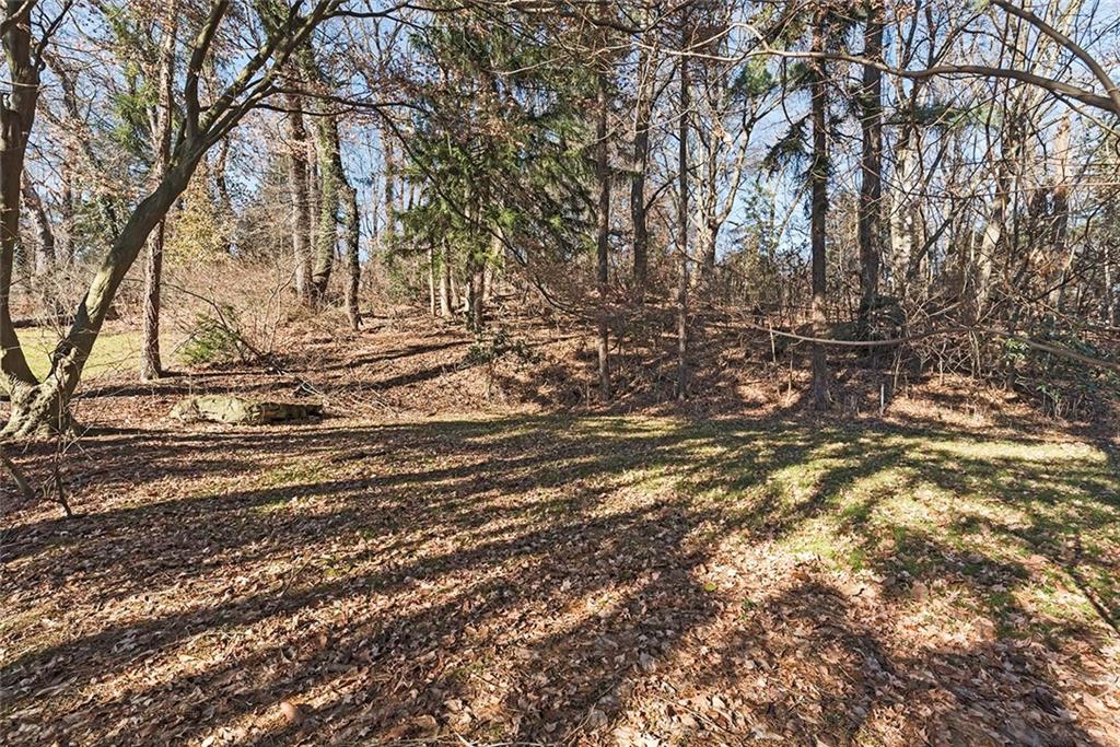 2519 Collins Road Pittsburgh, PA 15235 - Photo 24 of 25 Spacious Level Upper Yard. Private, Wooded and Ideal for Pets or Play
