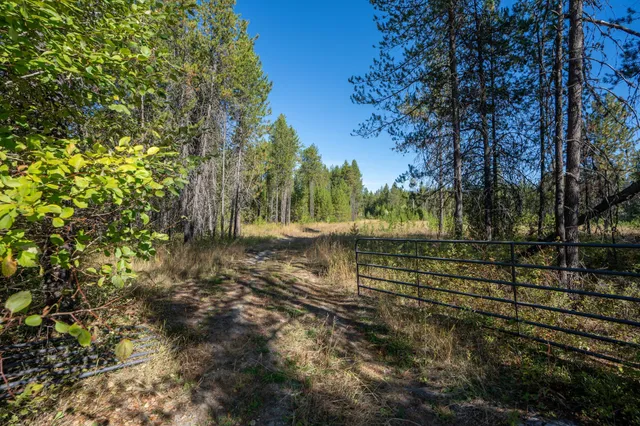 $167,000 | 54 Lenora Drive, Usk, WA 99180