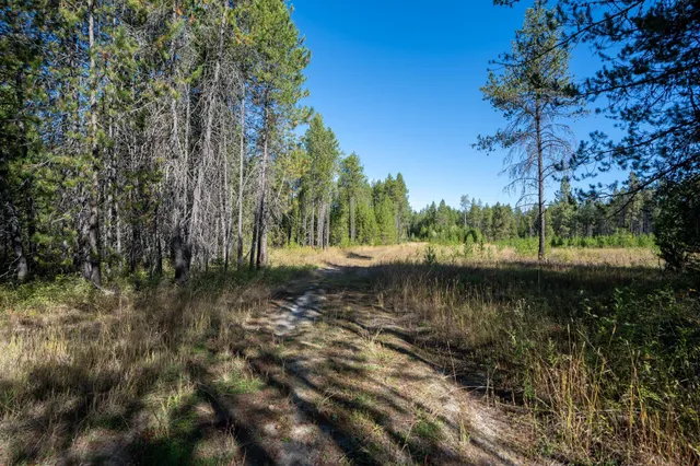 $167,000 | 54 Lenora Drive, Usk, WA 99180