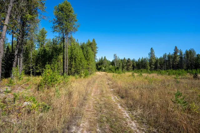 $167,000 | 54 Lenora Drive, Usk, WA 99180