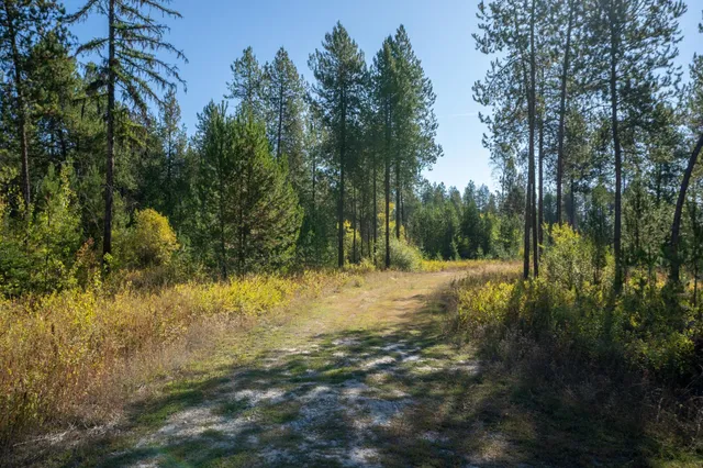 $167,000 | 54 Lenora Drive, Usk, WA 99180