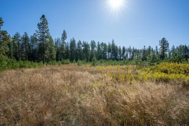 $167,000 | 54 Lenora Drive, Usk, WA 99180