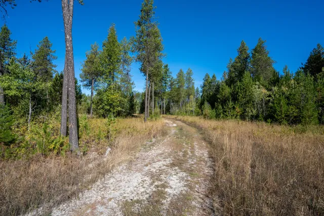 $167,000 | 54 Lenora Drive, Usk, WA 99180