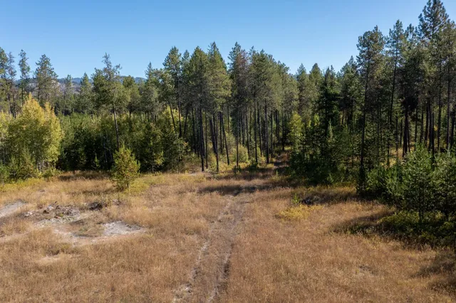 $167,000 | 54 Lenora Drive, Usk, WA 99180