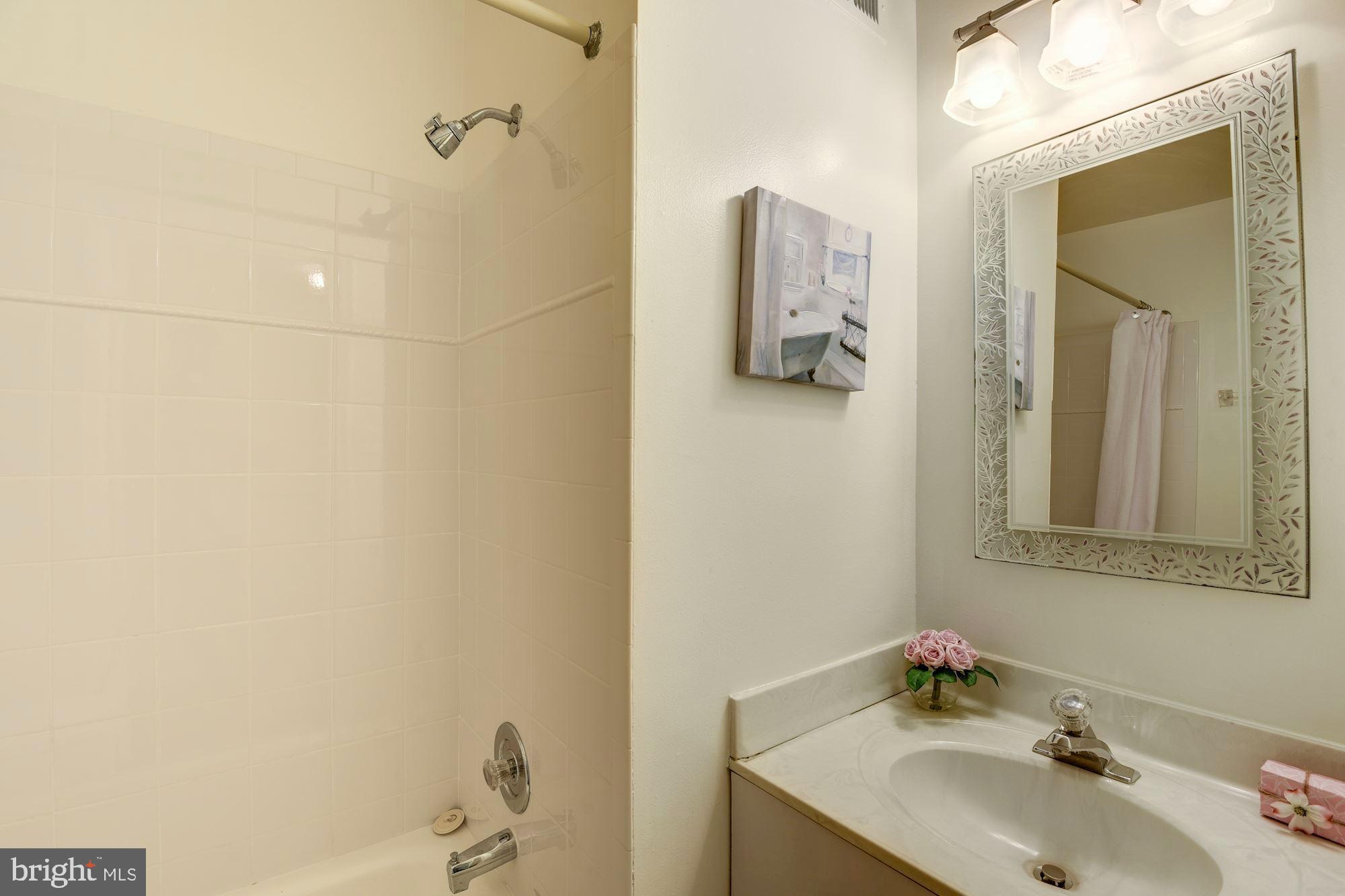 2019 Lyttonsville Road Silver Spring, MD 20910 - Photo 15 of 28 Bathroom