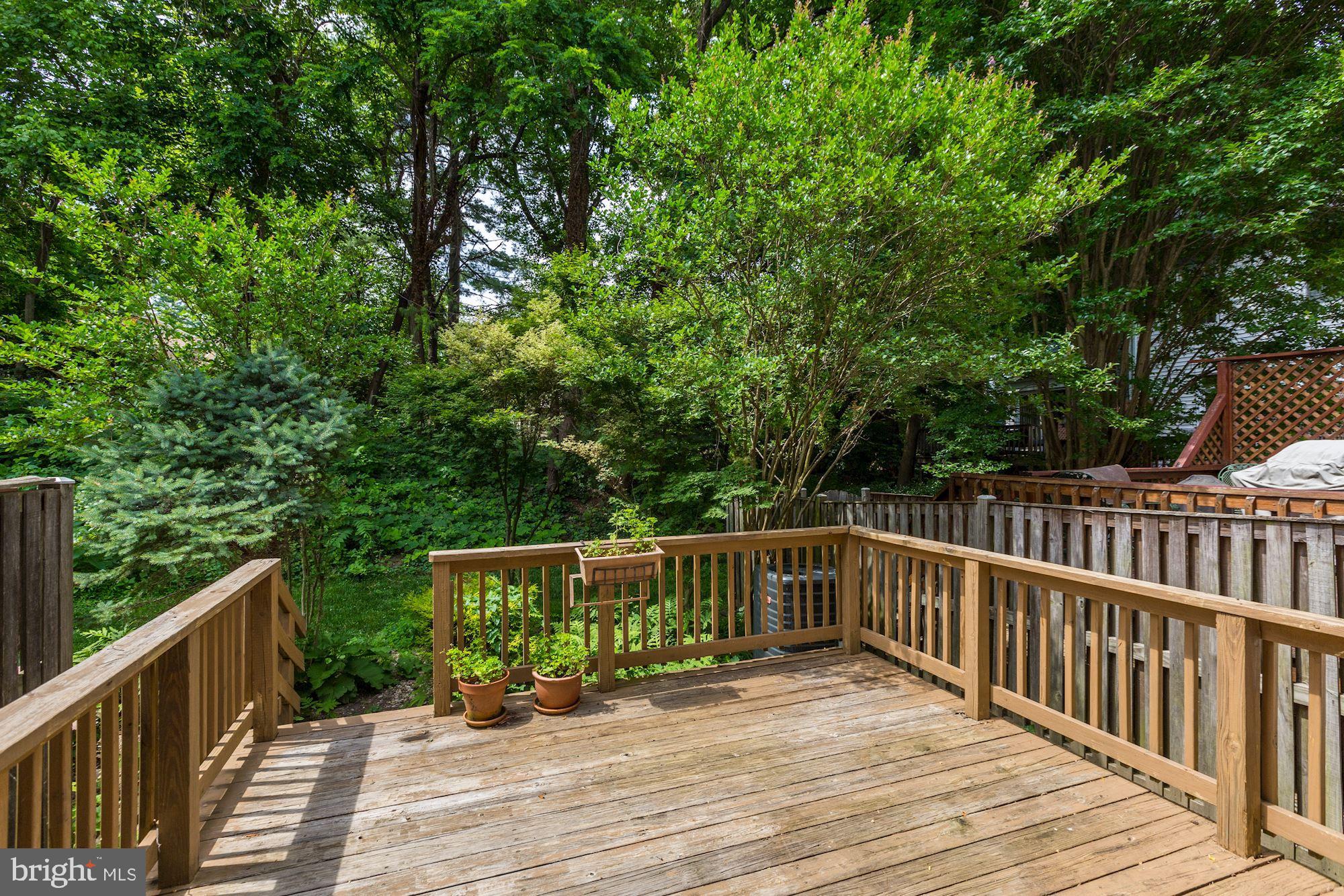 2019 Lyttonsville Road Silver Spring, MD 20910 - Photo 21 of 28 Rear Deck