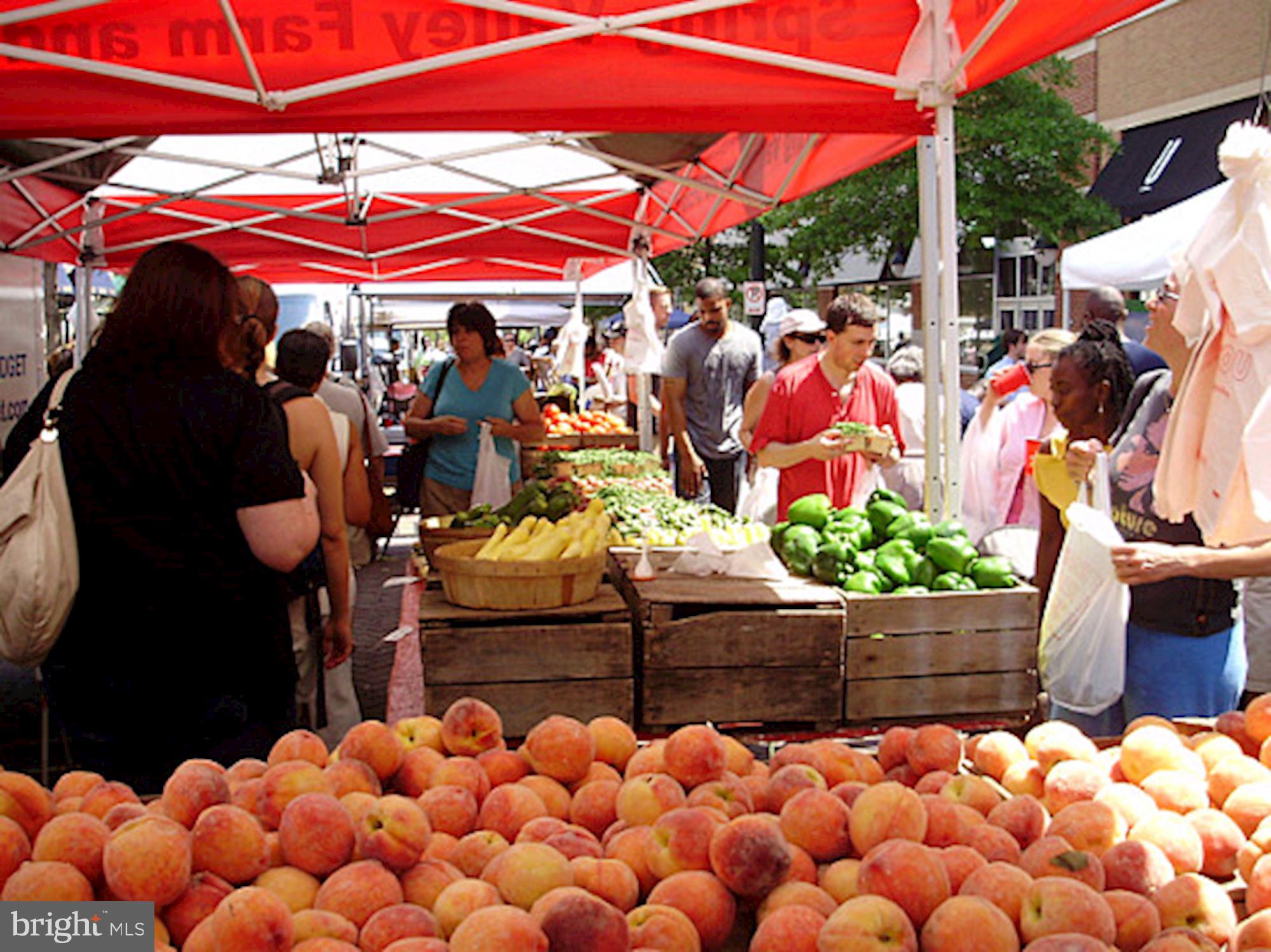 2019 Lyttonsville Road Silver Spring, MD 20910 - Photo 26 of 28 Weekend Farmers' Market