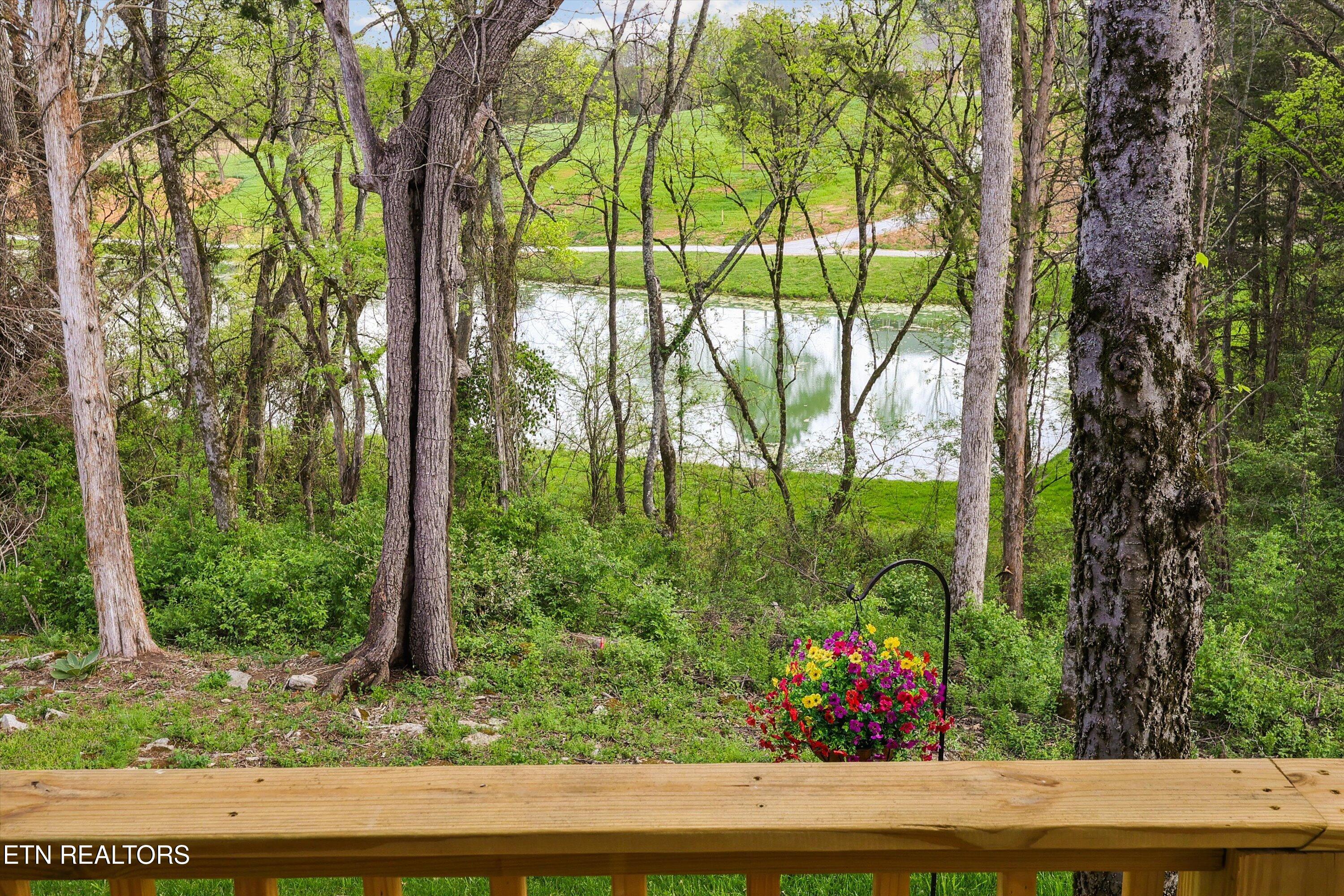 316 Red Rock Road Oneida, TN 37841 - Photo 32 of 41 36-316 Red Rock Rd 29