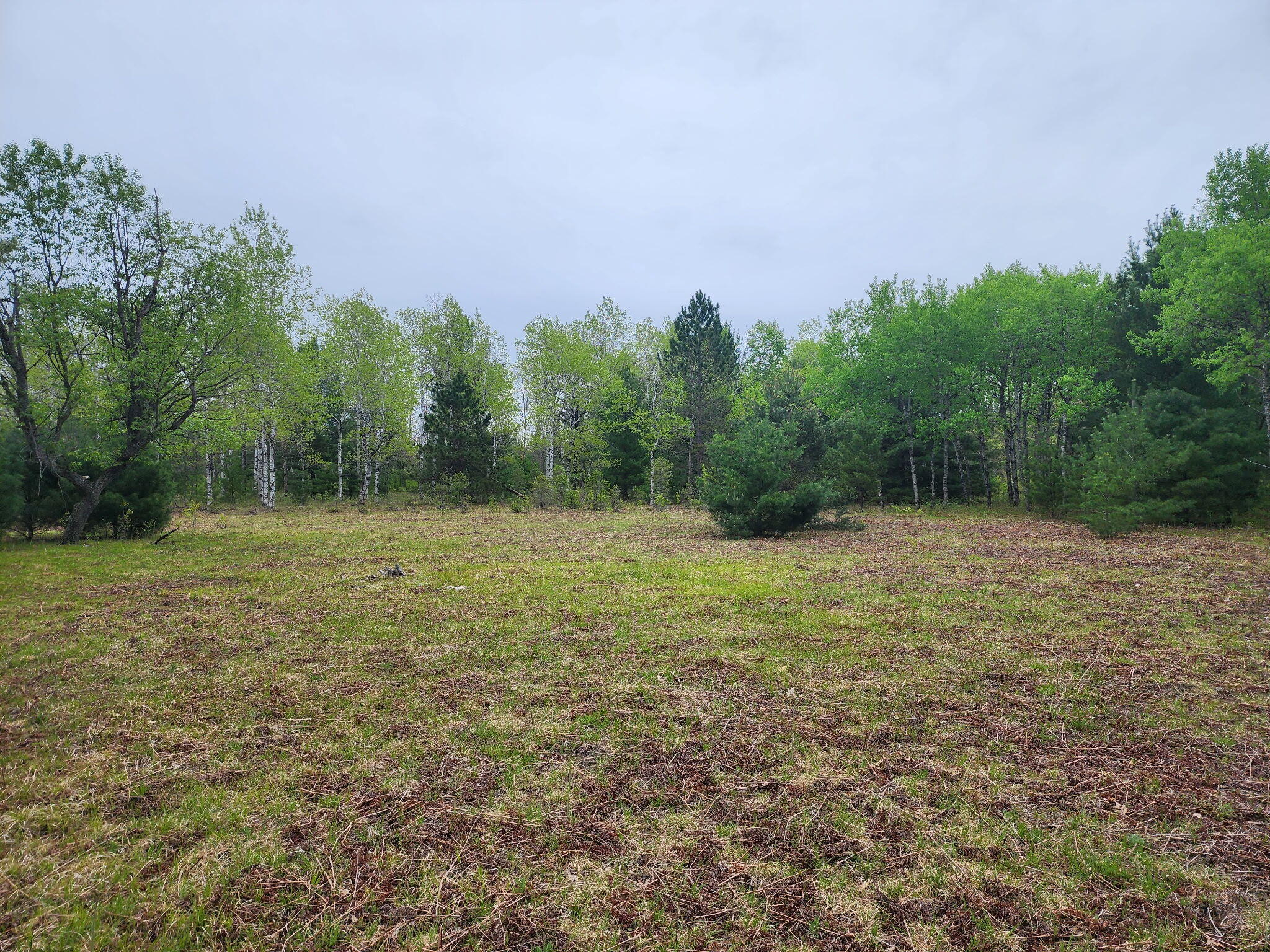 0 Hall Creek Road Interlochen, MI 49643 - Photo 9 of 14 20260524_094410