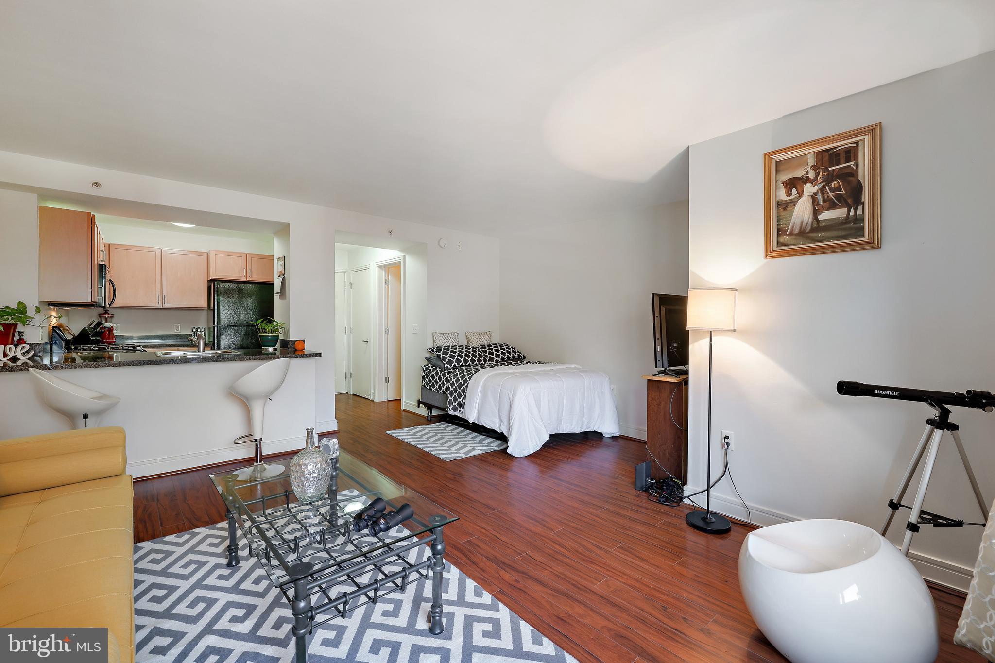 800 4th Street Southwest, Unit S203 Washington, DC 20024 - Photo 13 of 30