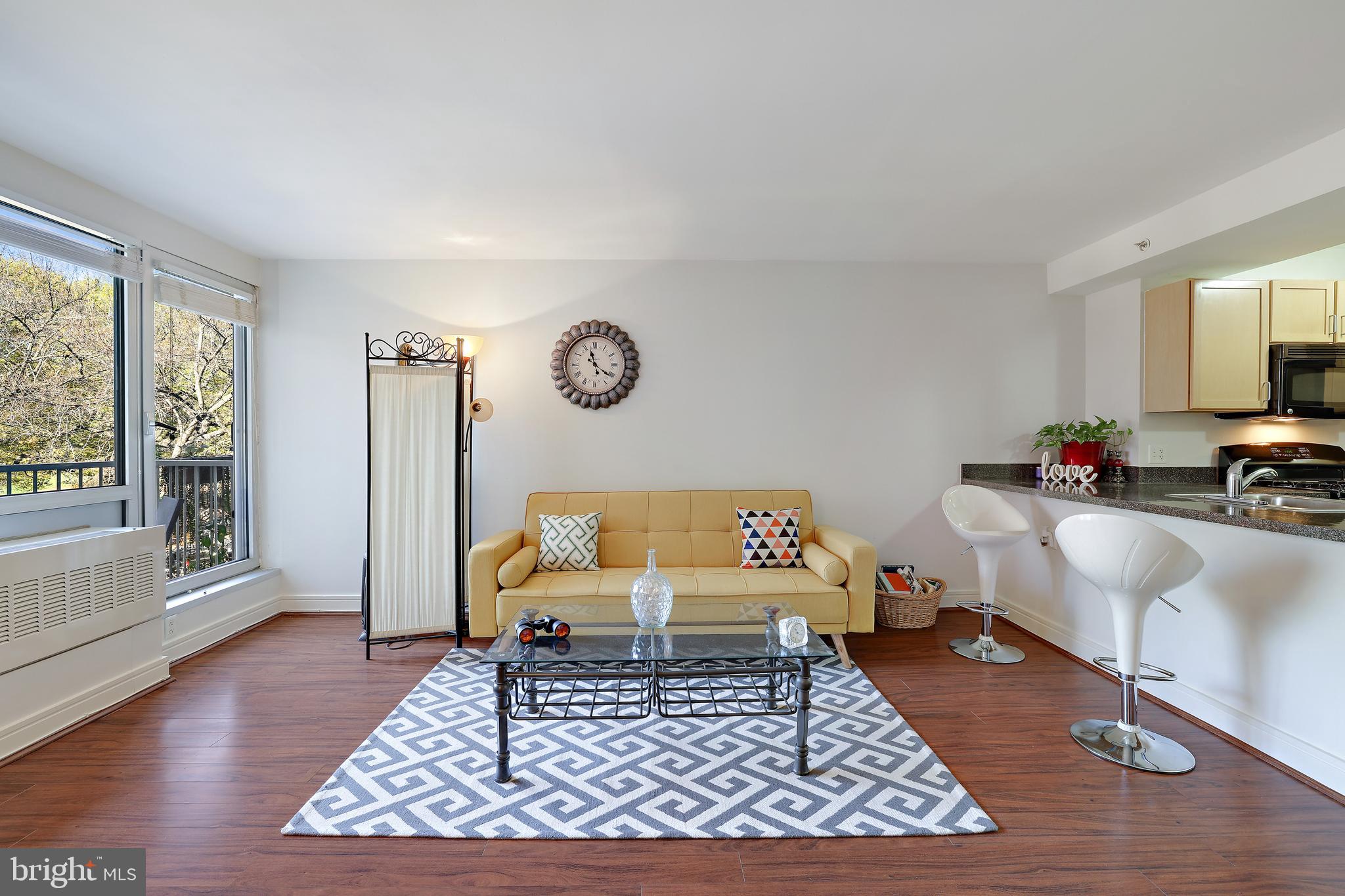 800 4th Street Southwest, Unit S203 Washington, DC 20024 - Photo 4 of 30