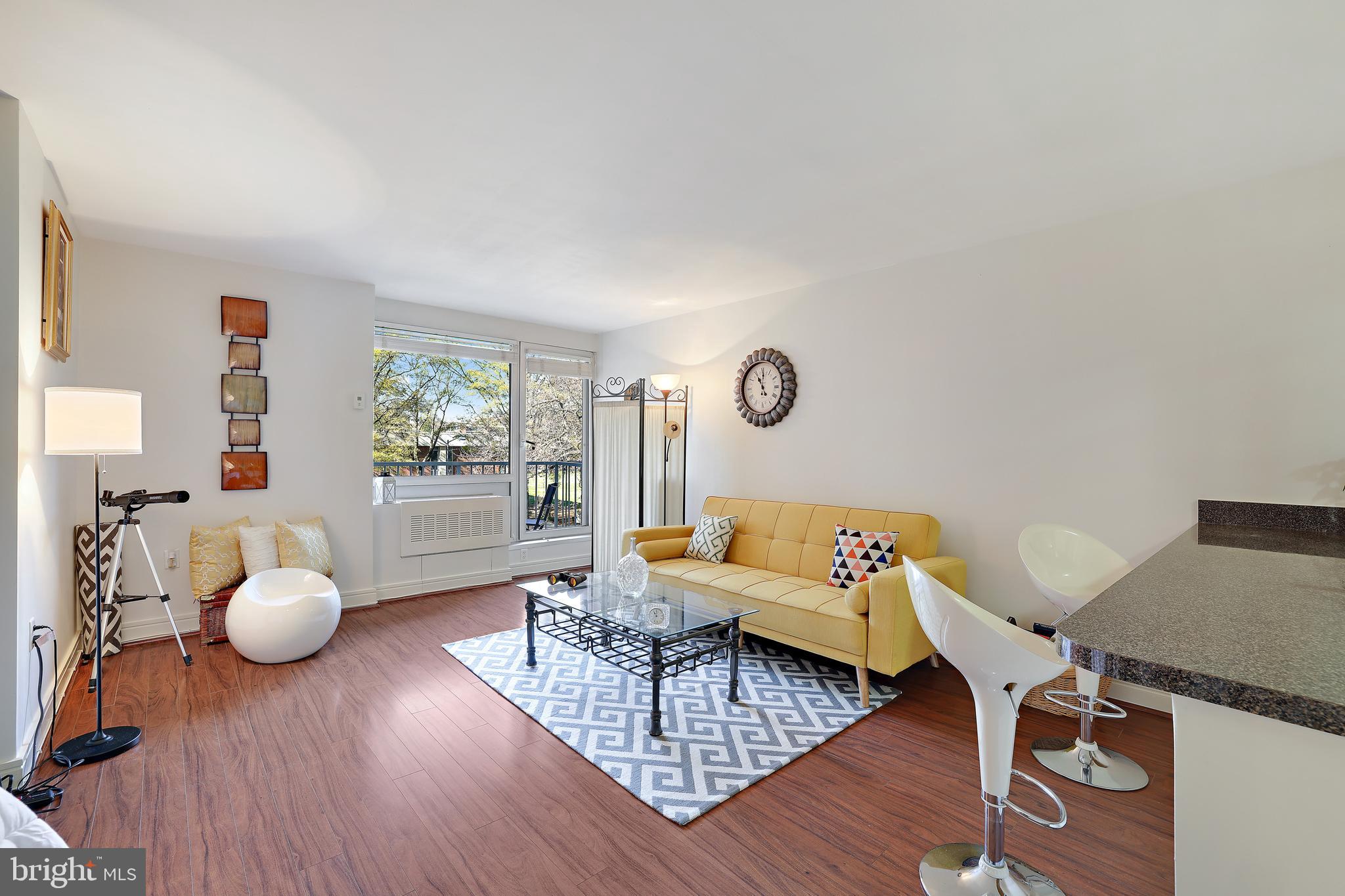 800 4th Street Southwest, Unit S203 Washington, DC 20024 - Photo 5 of 30