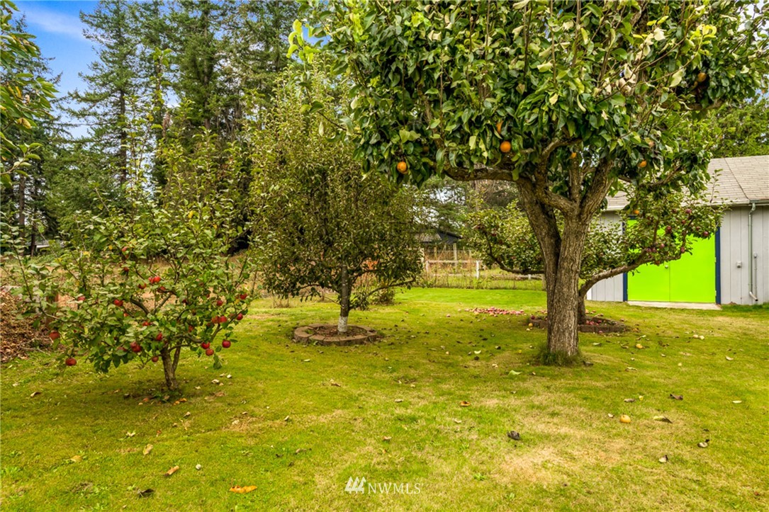 191 West Pole Road Lynden, WA 98264 - Photo 28 of 31