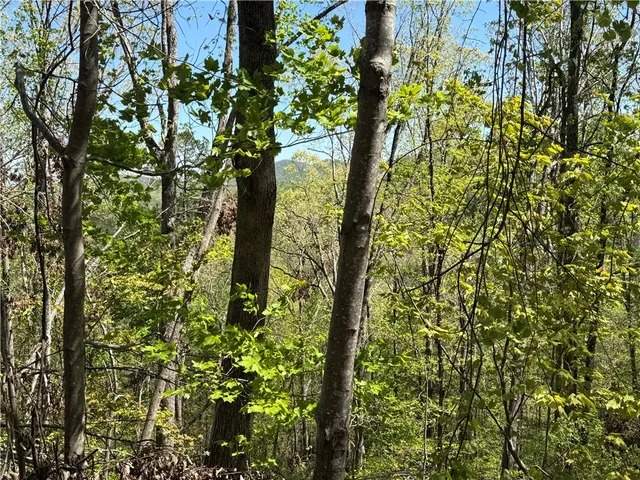 $14,290 | 113 Stone Creek Court, Pickens, SC 29671