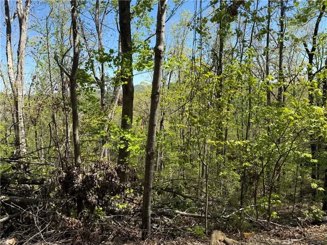 $14,290 | 113 Stone Creek Court, Pickens, SC 29671