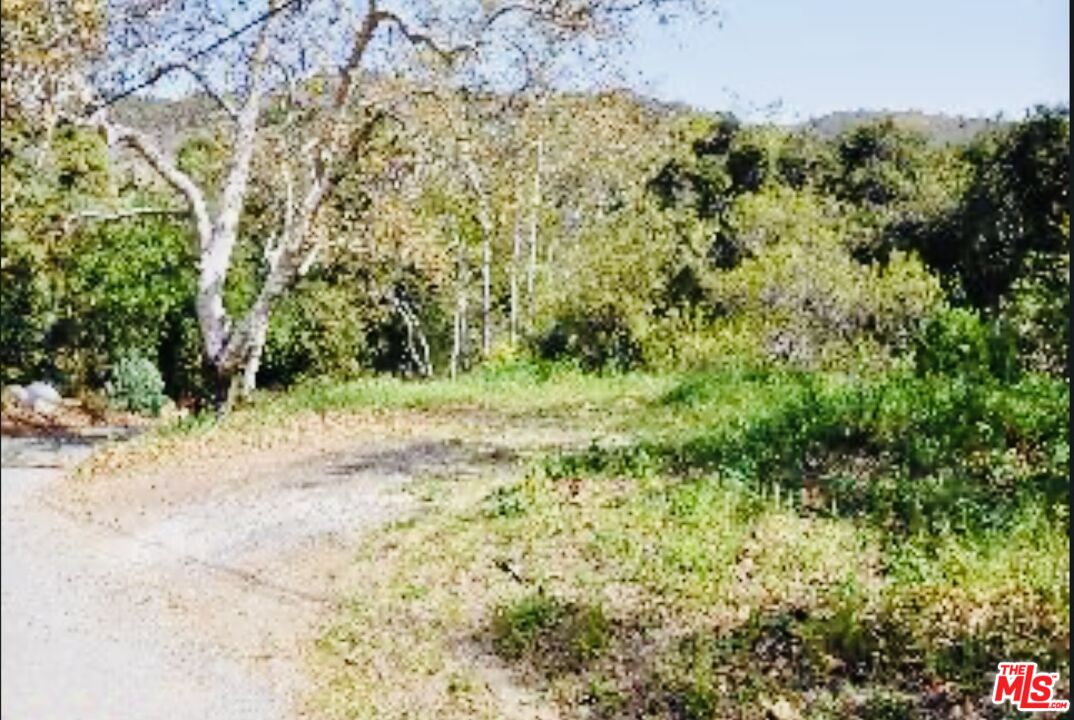 5812 Ramirez Canyon Road Malibu, CA 90265 - Photo 1 of 9 a view of a yard with plants and wooden fence