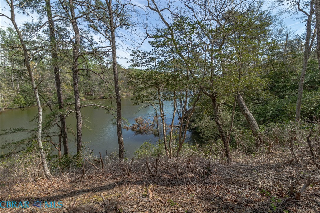 Lot 188 Ottoman Ferry Road Lancaster, VA 22503 - Photo 6 of 17