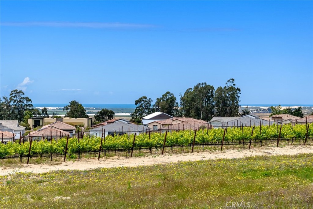 1662 Eucalyptus Road Nipomo, CA 93444 - Photo 22 of 75