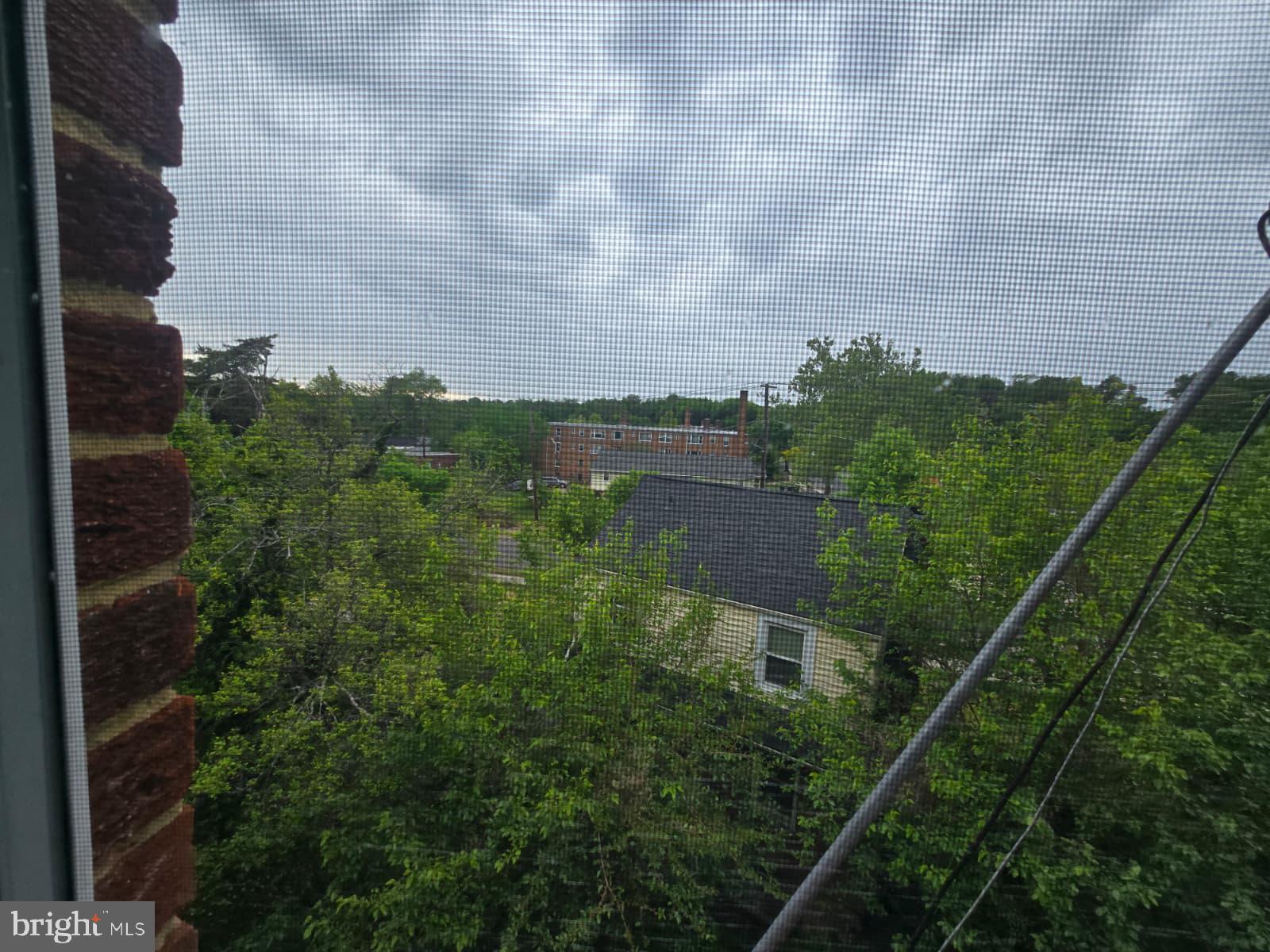 428 Ridge Road Southeast, Unit 305 Washington, DC 20019 - Photo 15 of 23 a view of a yard with plants