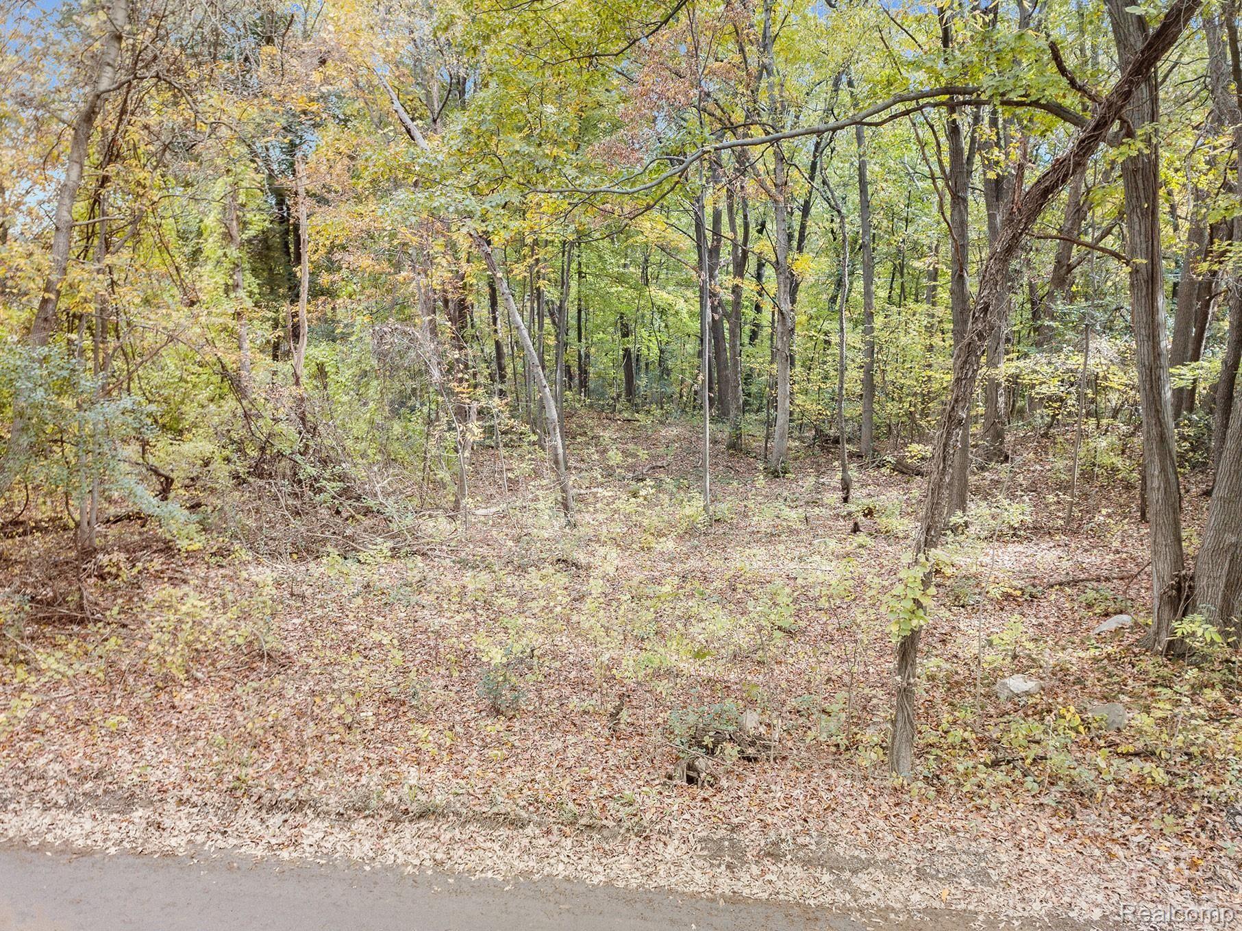 0 Foster Road Clarkston, MI 48346 - Photo 1 of 10 DJI_0035.jpg