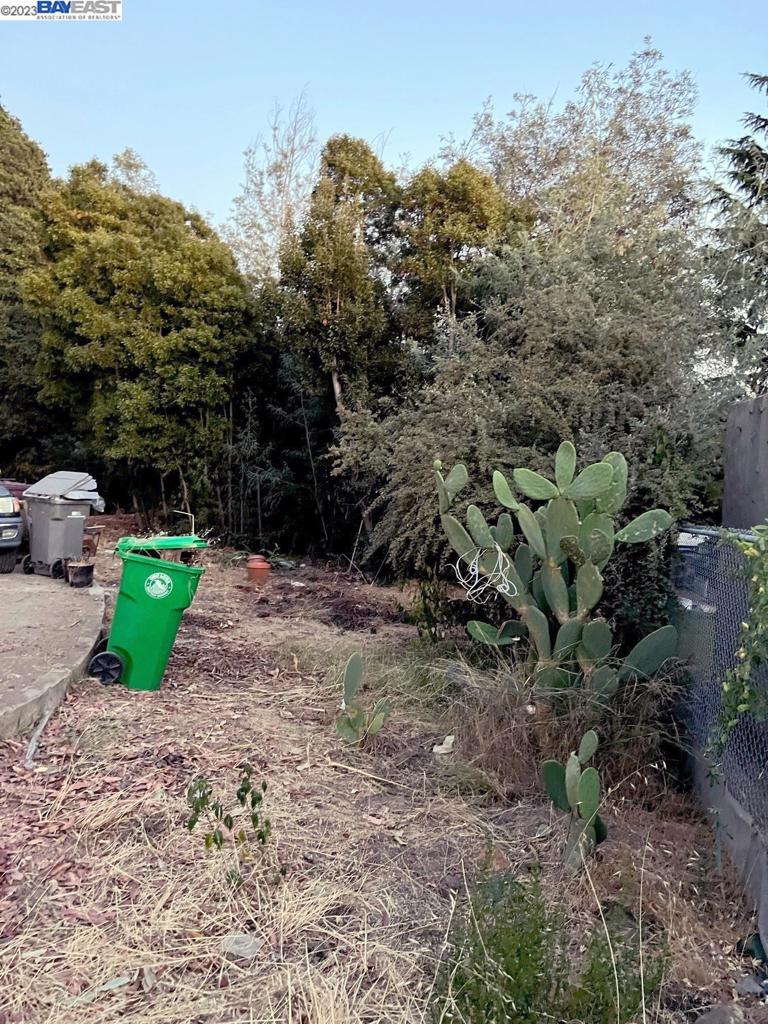 D Street Hayward, CA 94541 - Photo 6 of 9 a green field covered with trees