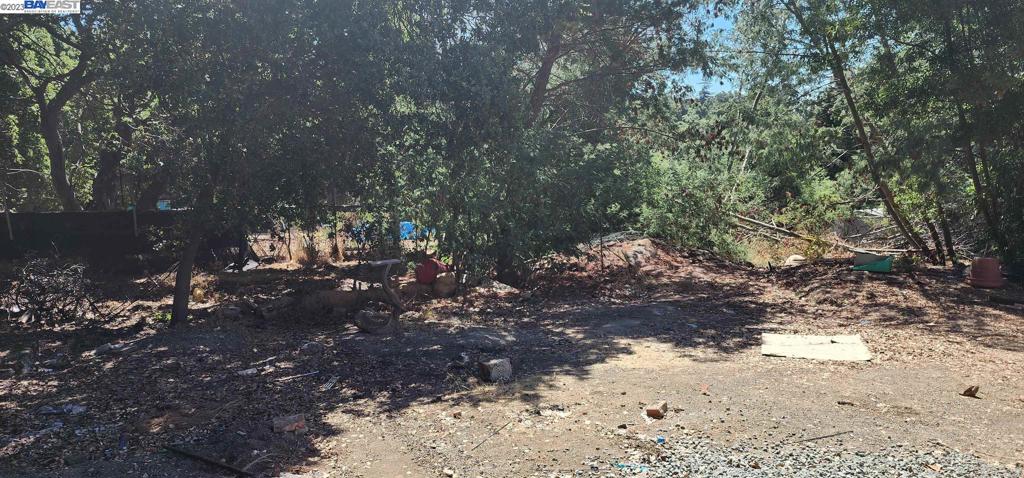 D Street Hayward, CA 94541 - Photo 8 of 9 a view of a yard