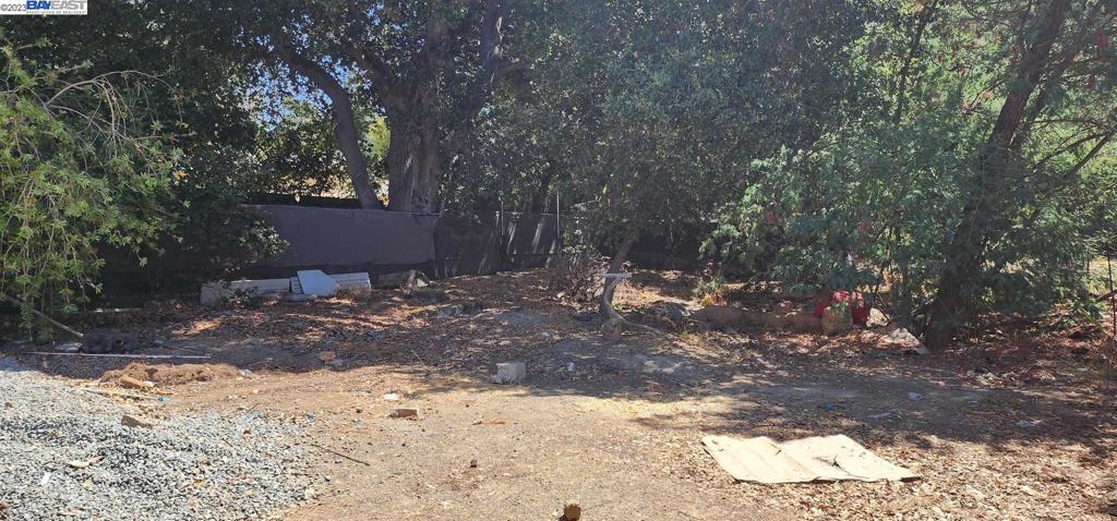 D Street Hayward, CA 94541 - Photo 9 of 9 a view of a backyard of a house