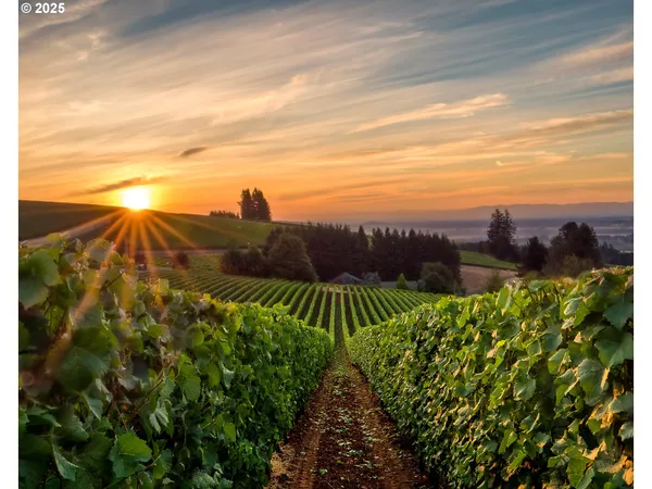 a view of lake view and mountain view