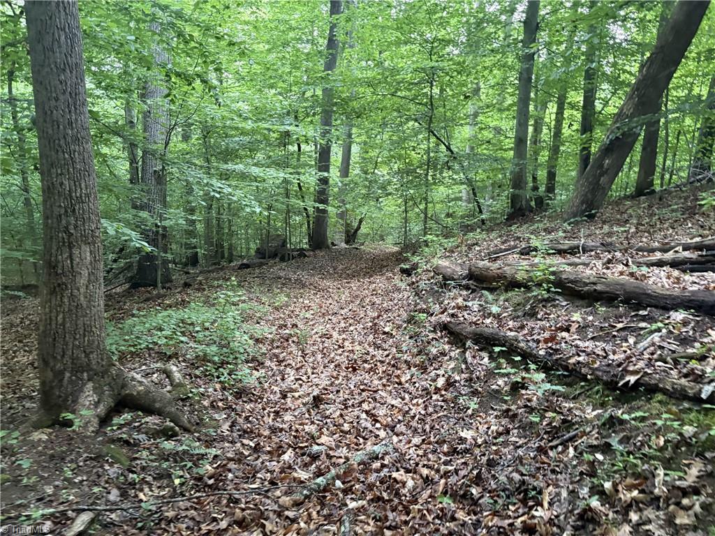 0 Nubbin Ridge Road Reidsville, NC 27320 - Photo 7 of 13