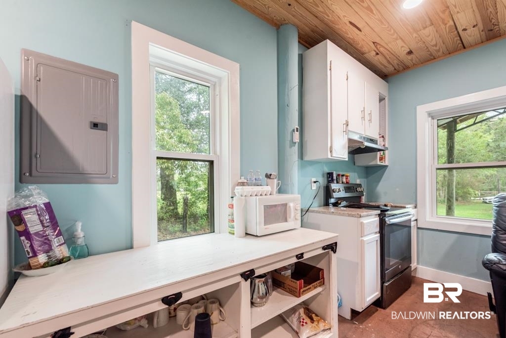 13742 Roberts Road Loxley, AL 36551 - Photo 6 of 18 Kitchen featuring a healthy amount of sunlight, under cabinet range hood, stainless steel electric range oven, white microwave, and electric panel