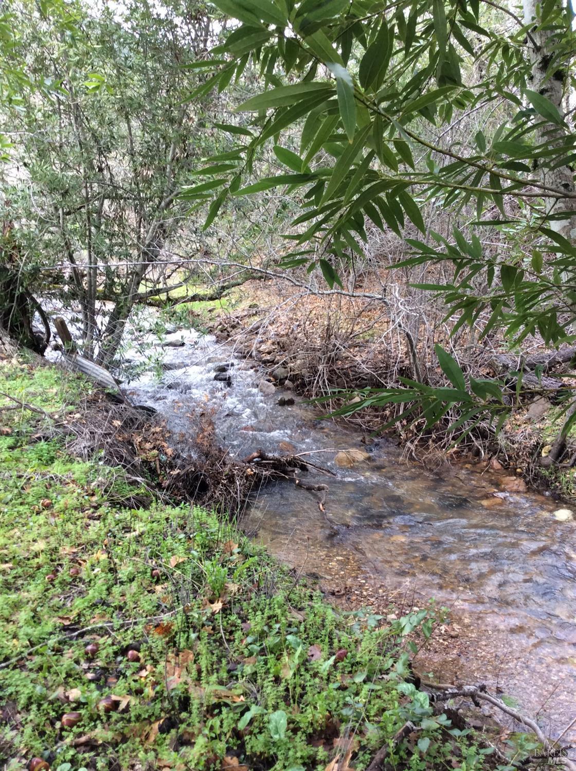 3093 Old Lawley Toll Road Calistoga, CA 94515 - Photo 16 of 17 a view of a yard with plants and a large tree