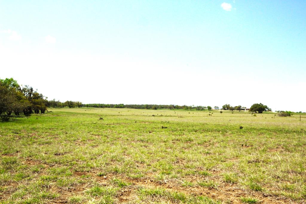 783 South Ranch Road 783, Unit 5 Harper, TX 78631 - Photo 6 of 6