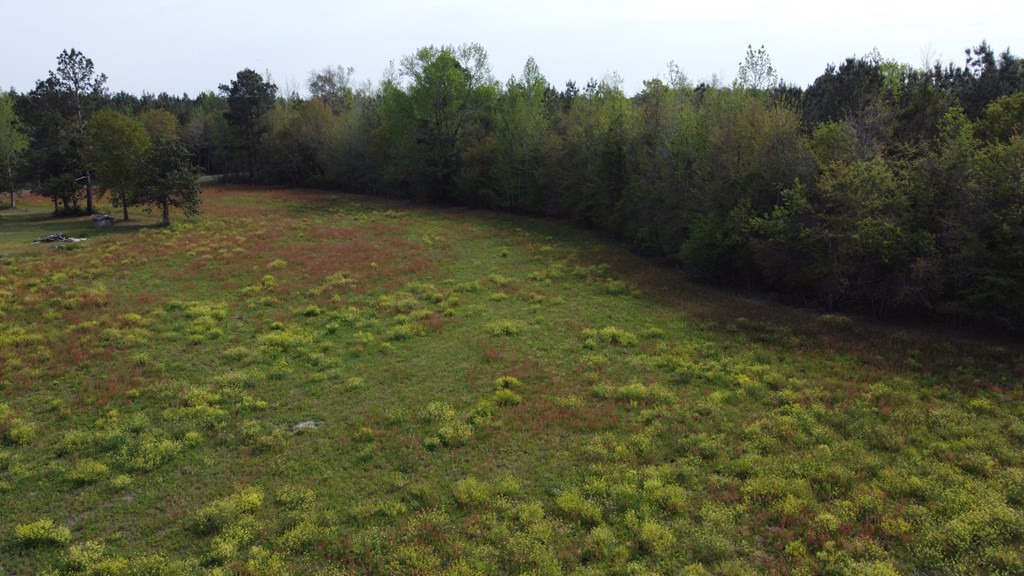 3150 June Burn Road Manning, SC 29102 - Photo 7 of 7 Gallery Image 7
