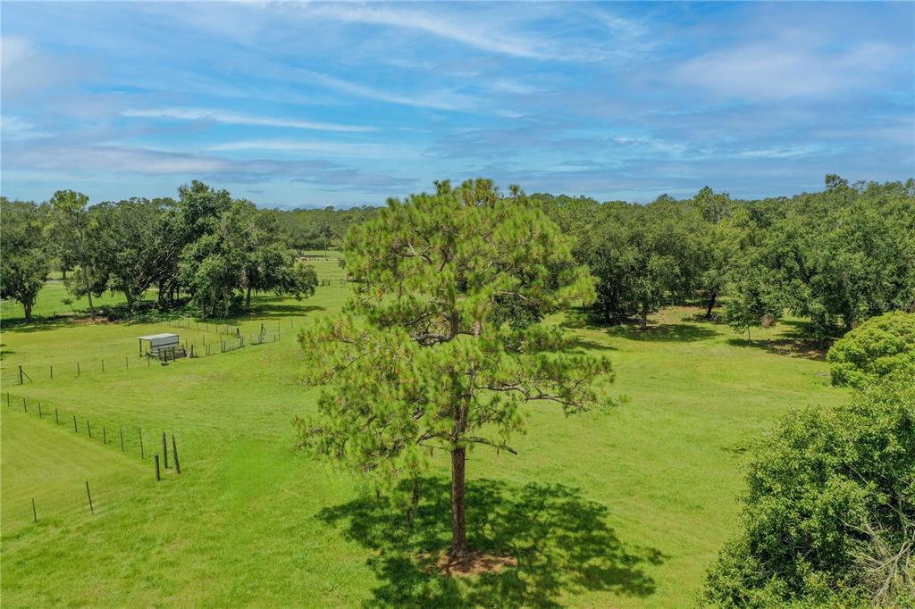 2335 Old Polk City Road Lakeland, FL 33809 - Photo 34 of 44