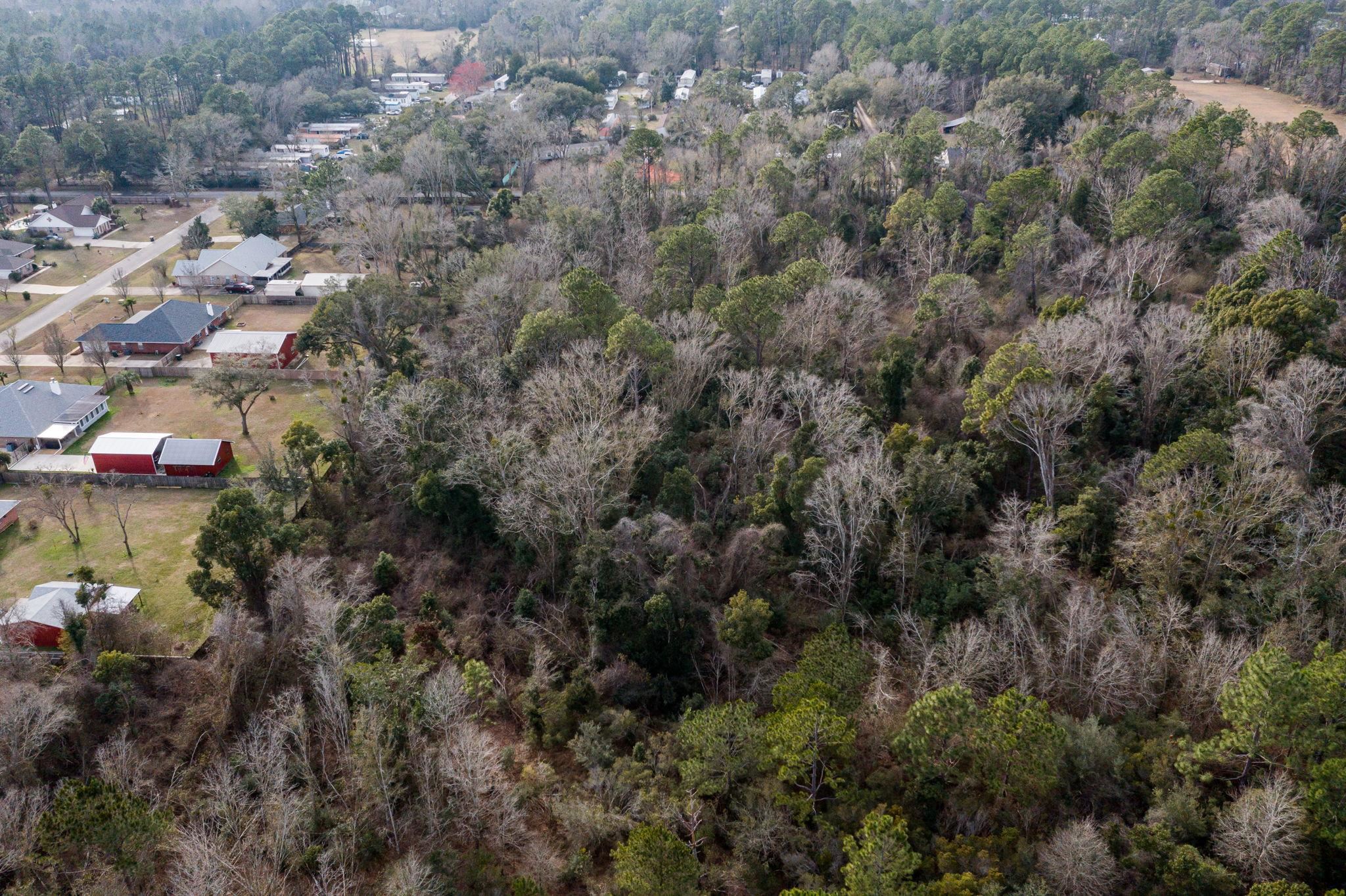 24060 Miflin Road Elberta, AL 36530 - Photo 16 of 18