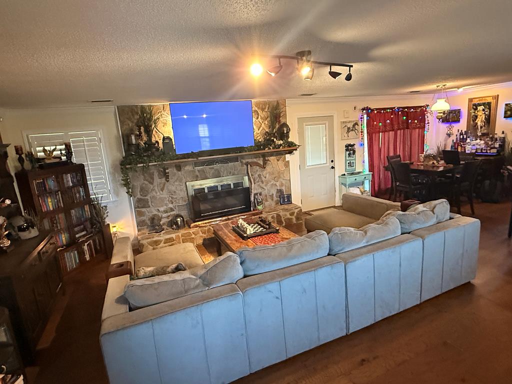 501 Cool Springs Road Opp, AL 36467 - Photo 2 of 48 Living Room