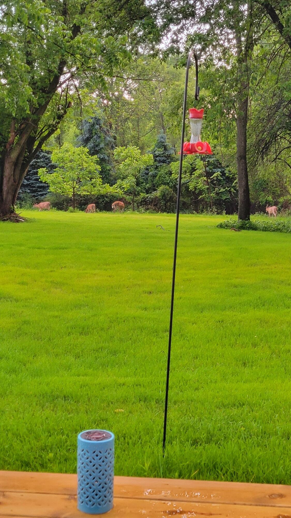 14888 South State Road Perry, MI 48872 - Photo 8 of 41 IMG_1291