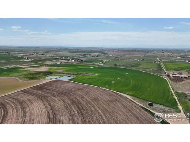 a black and white photo of a field
